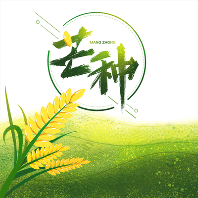 芒种是什么时候芒种是什么意思芒种的含义