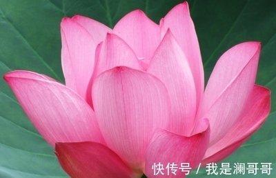 虽有吉星“红鸾”入命 感情生活也不一定一帆风顺