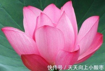 虽有吉星“红鸾”入命 感情生活也不一定一帆风顺