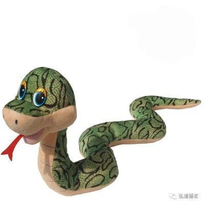 蛇不合的属相有哪些  谁会影响到属蛇人