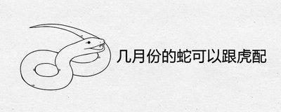 蛇与虎相配吗 属虎人与属蛇人适合在一起吗