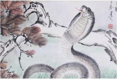 蛇生肖和什么最配 属蛇人与哪几个生肖配对好