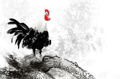 衣食无忧打一生肖 生活没有忧虑的生肖 衣食无忧打一生肖 生活没有忧虑的生肖