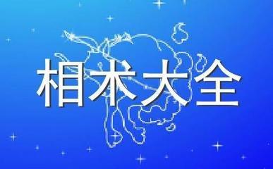 解说男人眉毛太粗太浓的人面相特征怎么样