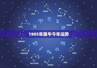 解读1991年出生的人的2025年运势变化特点