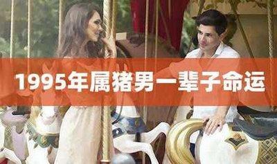 解读1995年属猪男人一生婚姻运势
