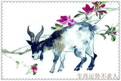 解读出生于1991年的人命格和2025年运势