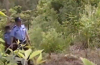 解读梦见爬山需要根据梦境的变化来看