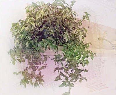 解除风水弊端：选择有利于阳宅风水稳定的风水摆件