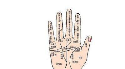 解析一下女人掌纹又多又乱的手相好不好