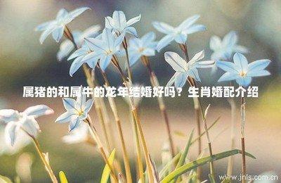 解析属牛的人婚姻与命运 蛇年出生的人婚姻命运如何