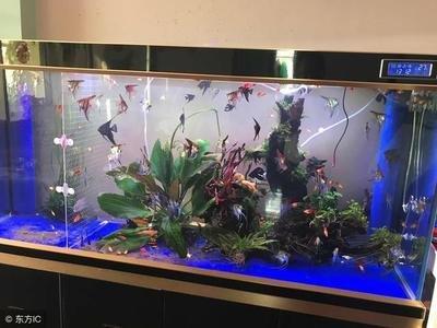 让桃花变旺的住宅风水 单身的你一定不能错过