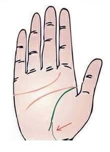 解析生命线分叉的寓意 生命线分叉代表了什么