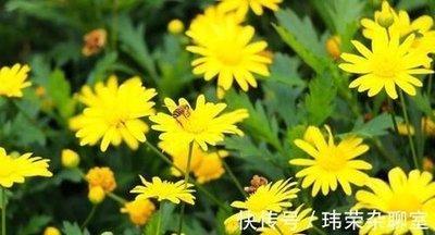 试探射手女是否喜欢你 喜欢你的细节