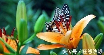 试探射手女是否喜欢你 喜欢你的细节