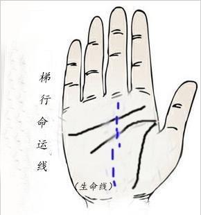 话说命运线分叉是怎么一回事你知道吗