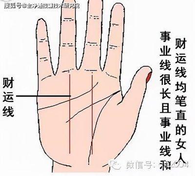 详细解析女手相中的事业线 女人手中事业线怎么看