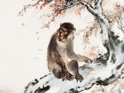 详解2025年中生肖属猴的人所拥有的运势特点 详解2025年中生肖属猴的人所拥有的运势特点