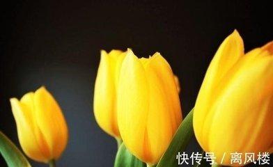 财运回升快 赚钱有效率 个人财富节节攀升的三大生肖