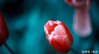 责任心最强的3个生肖男遇到就嫁了吧