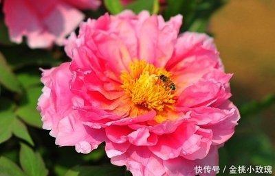 贵人运最好的出生日 多贵人帮助的人