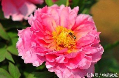 贵人运最好的出生日 多贵人帮助的人
