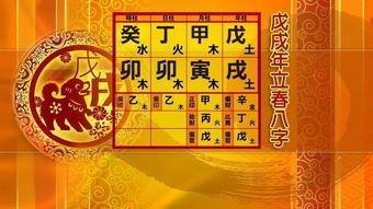 谈八字注定您是否苗条  反而越胖运势越好的八字格局
