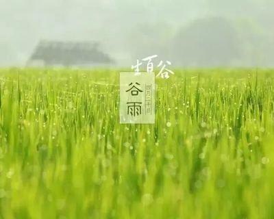 谷雨是什么时候谷雨是什么意思