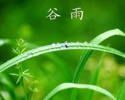 谷雨是什么时候谷雨是什么意思
