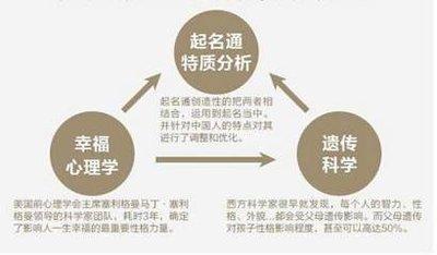 起名注意事项：团队起名需要具有针对性
