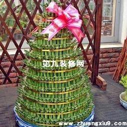 财位放什么催财最好 据说财位这样设计的都发财了