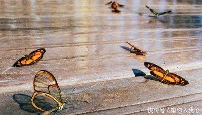 财星入我命 好运到家门 偏财运稳定不愁钱花的生肖