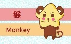 跟属猴相配的生肖 最适合属猴人的生肖