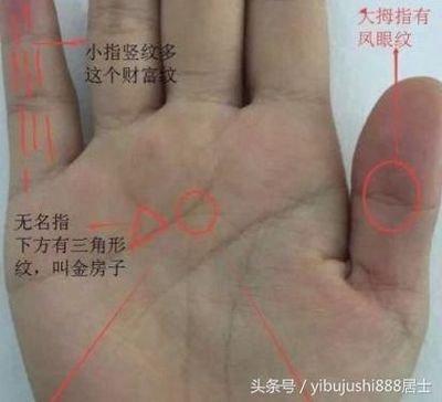越老越有钱的手相都有这特点是真的吗