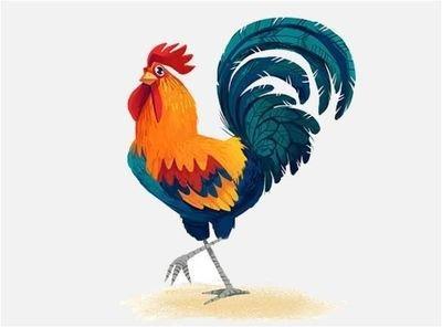 跟鸡配的生肖是什么 属鸡人与哪几个生肖配好