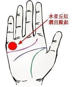 这些手相的女人婚后都有福得到丈夫关心
