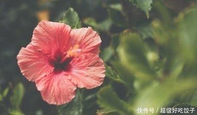 这些星座在人际交往都会坚定自己的选择