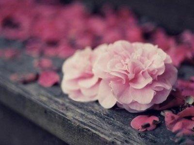 输入名字算桃花运看你的桃花运好吗