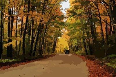 这些生肖手段复杂 跟他们相处都要注意