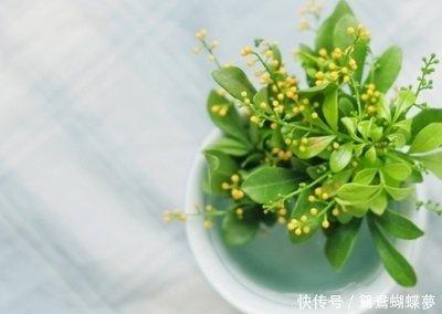 这些生肖看似很坚强 却有着许多你不知的心酸 这些生肖看似很坚强 却有着许多你不知的心酸