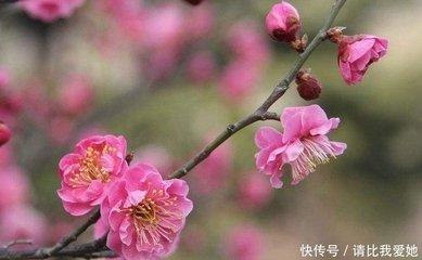 这几个生肖女桃花不断 最受异性关注