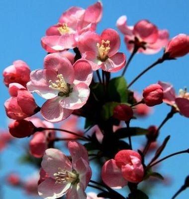 这几个生肖本月最多波折  生活中一定要注意