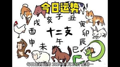 辰对应的生肖在2025年运势好吗