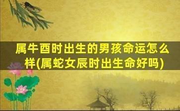 辰时出生的人命运特点 辰时出生的人命好不好