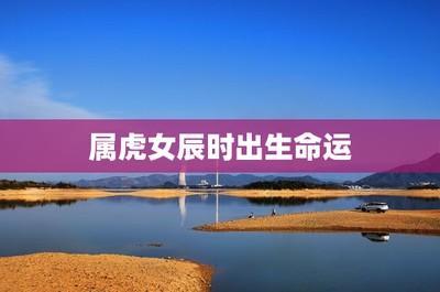 辰时属虎人的命运 属虎辰时生人怎么样