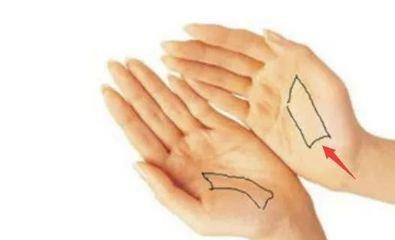 这几种手相的人最有经济头脑相当聪明