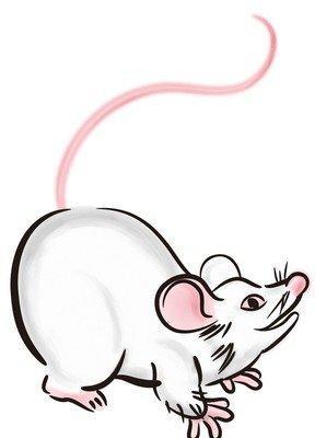 辰时属鼠人的命运 属鼠辰时生人怎么样