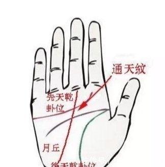 这四种手相的人易白手起家自己努力
