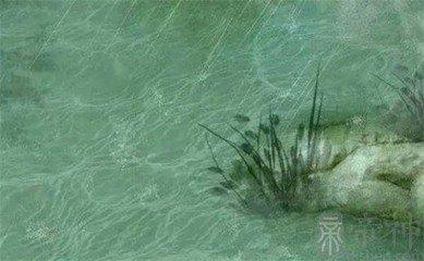 这四种手相的女人注定婚姻幸福生活好