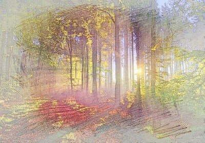 这样八字的男人对于感情是至死不渝的